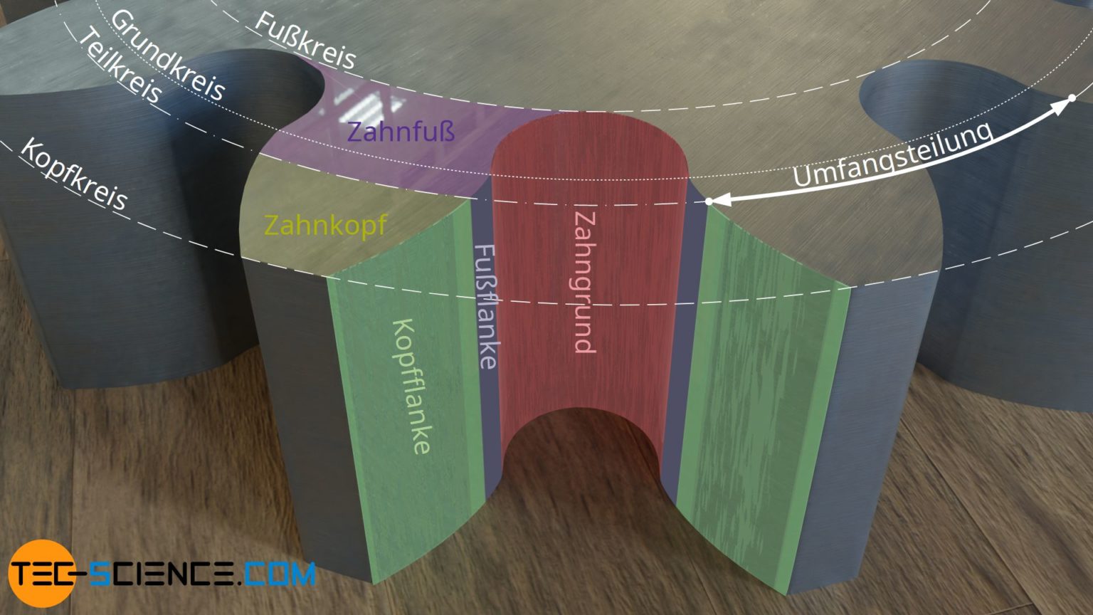 Konstruktion von Evolventenzahnräder tec science