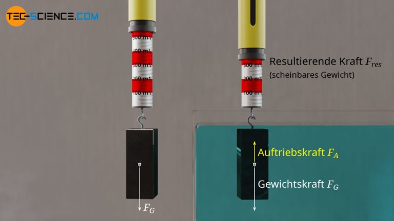 Das Archimedische Prinzip Des Auftriebs Krone Des Archimedes Tec