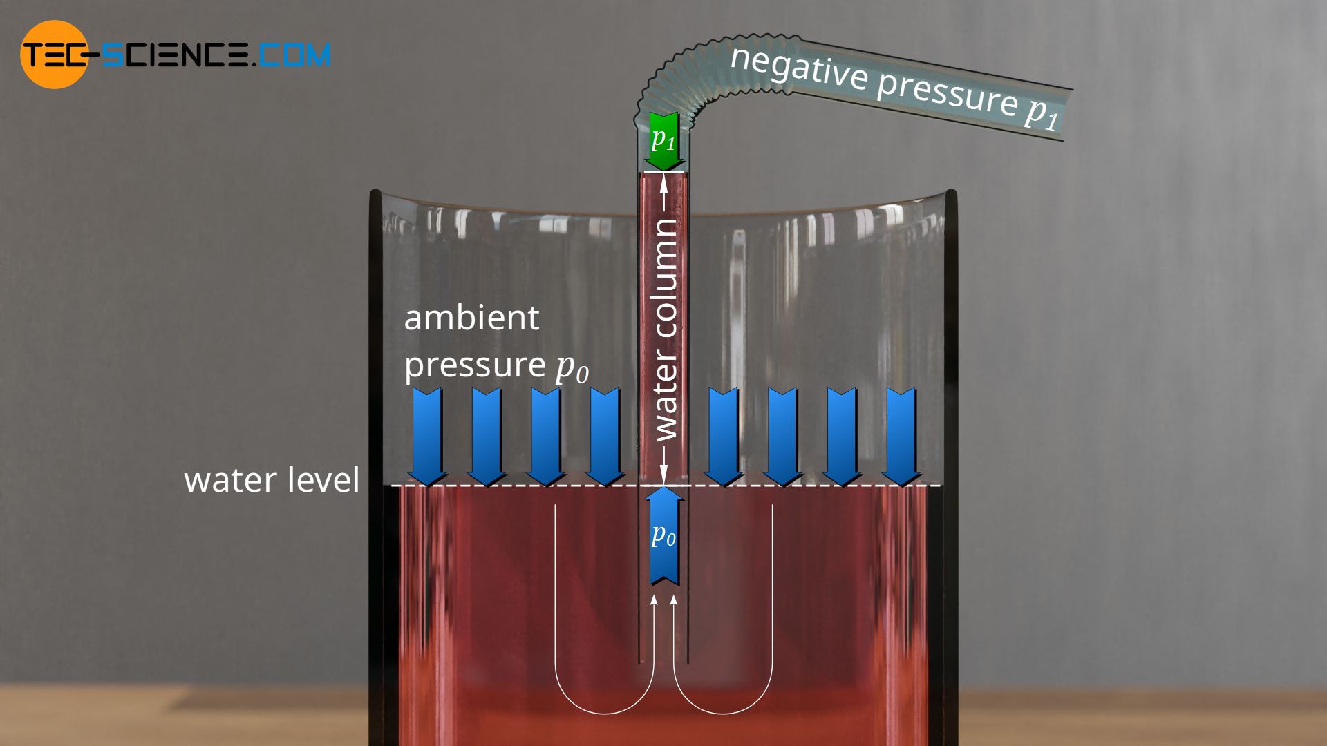  How Does A Drinking Straw Work Tec science